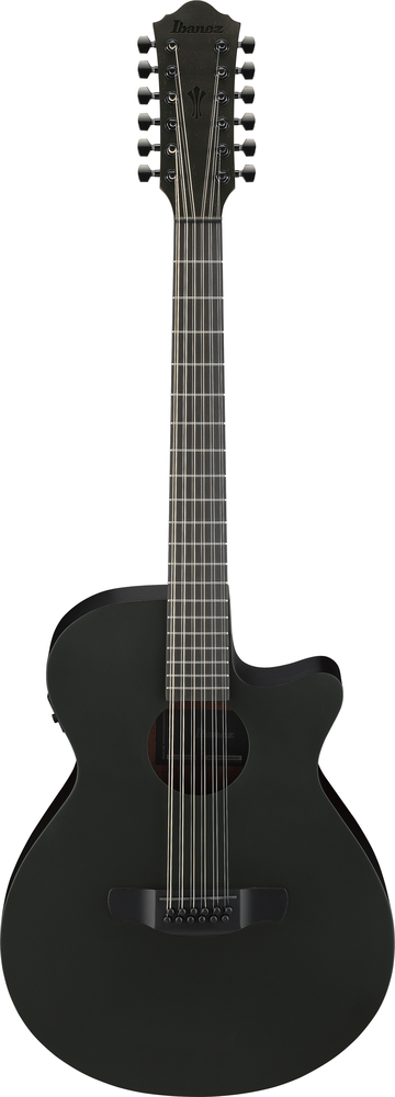 Ibanez AEG1221 Black Out Acoustic Guitar-Buzz Music