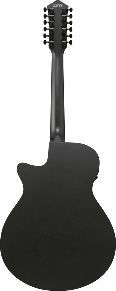 Ibanez AEG1221 Black Out Acoustic Guitar-Buzz Music