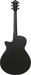 Ibanez AEG621 Black Out Acoustic Guitar-Buzz Music