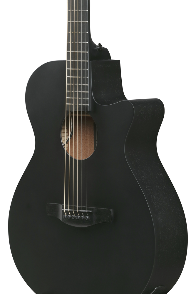 Ibanez AEG621 Black Out Acoustic Guitar-Buzz Music