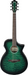 Ibanez AEWC16QA Transparent Emerald Burst High Gloss top, Natural High Gloss back and sides Acoustic Guitar-Buzz Music