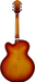 Ibanez AF115 Aged Whiskey Burst Electric Guitar-Buzz Music