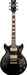 Ibanez AM73G Black Electric Guitar-Buzz Music
