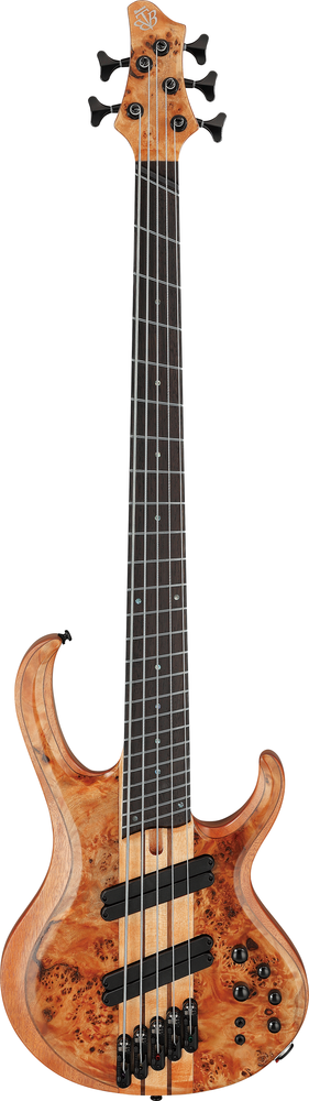 Ibanez BTB805MS Florid Natural Low Gloss Electric Bass-Buzz Music