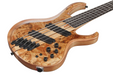 Ibanez BTB805MS Florid Natural Low Gloss Electric Bass-Buzz Music