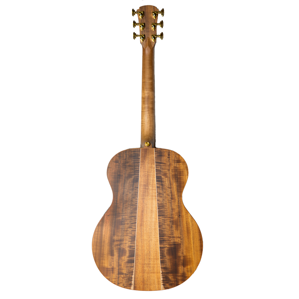 Cole Clark AN3E Grand Auditorium Acoustic Electric Guitar - Blackwood Top, Back & Sides with Satinbox Fingerboard- With Hard Case-Buzz Music