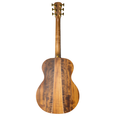 Cole Clark AN3E Grand Auditorium Acoustic Electric Guitar - Blackwood Top, Back & Sides with Satinbox Fingerboard- With Hard Case-Buzz Music