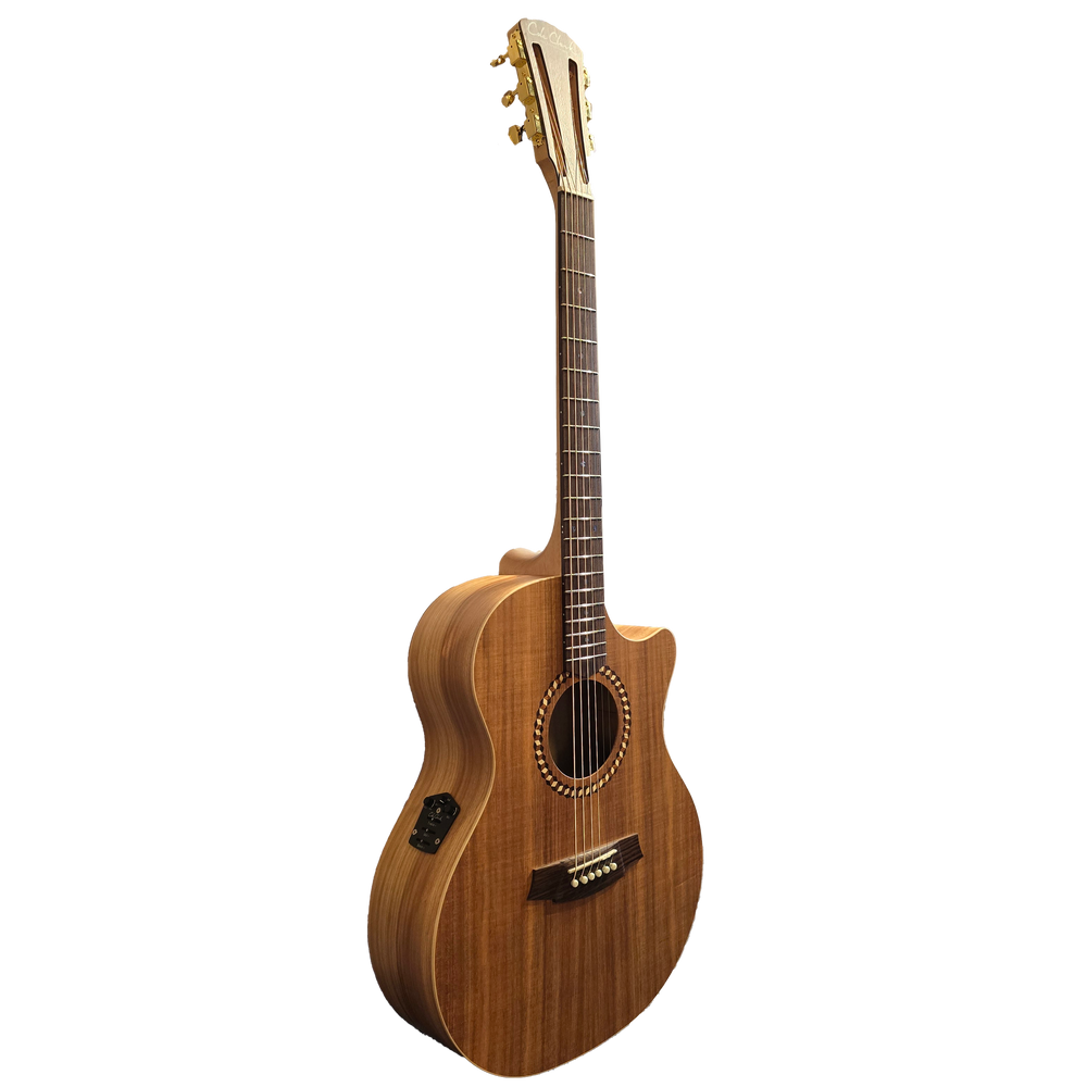 Cole Clark Recording Series 2EC - All Blackwood with Cutaway and Pickup-Buzz Music