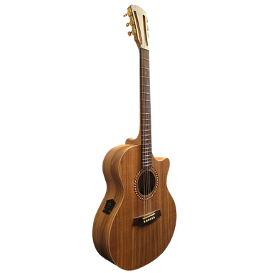 Cole Clark Recording Series 2EC - All Blackwood with Cutaway and Pickup-Buzz Music