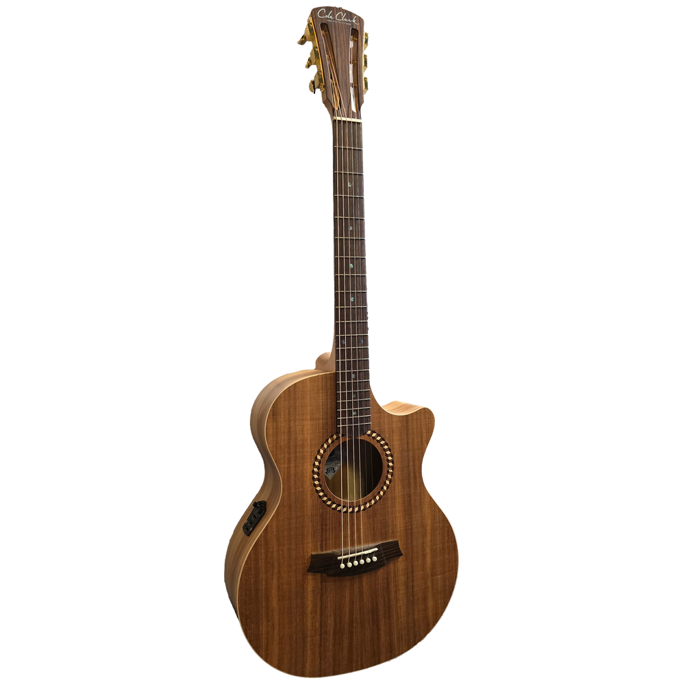 Cole Clark Recording Series 2EC - All Blackwood with Cutaway and Pickup-Buzz Music