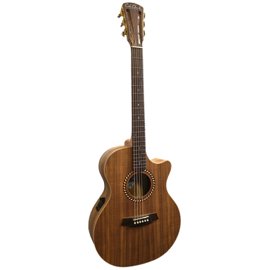 Cole Clark Recording Series 2EC - All Blackwood with Cutaway and Pickup-Buzz Music