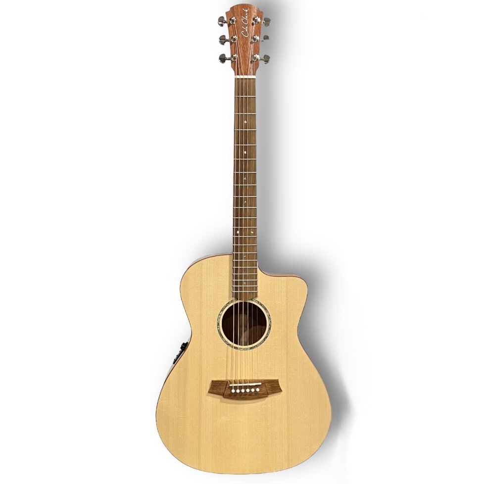 Cole Clark Studio Series AN1EC - Spruce Top, Mahogany Back and Sides-Buzz Music