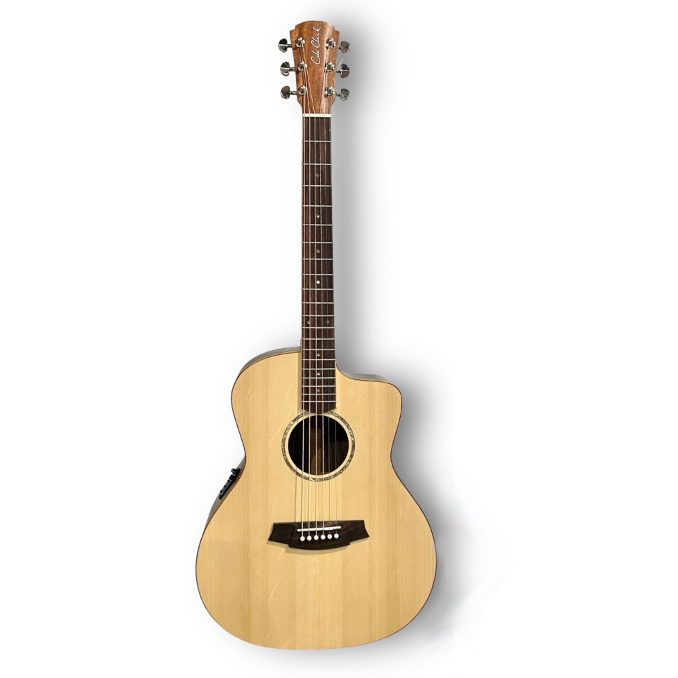 Cole Clark Studio Series AN1EC - Spruce Top, Rosewood Back and Sides-Buzz Music