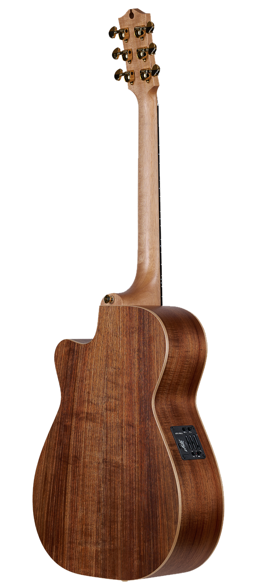 Maton Artist Series EBG808C-ARTIST - Spruce Top, Blackwood Back & Sides - AP5 Pro Pickup - 808 with Cutaway-Buzz Music