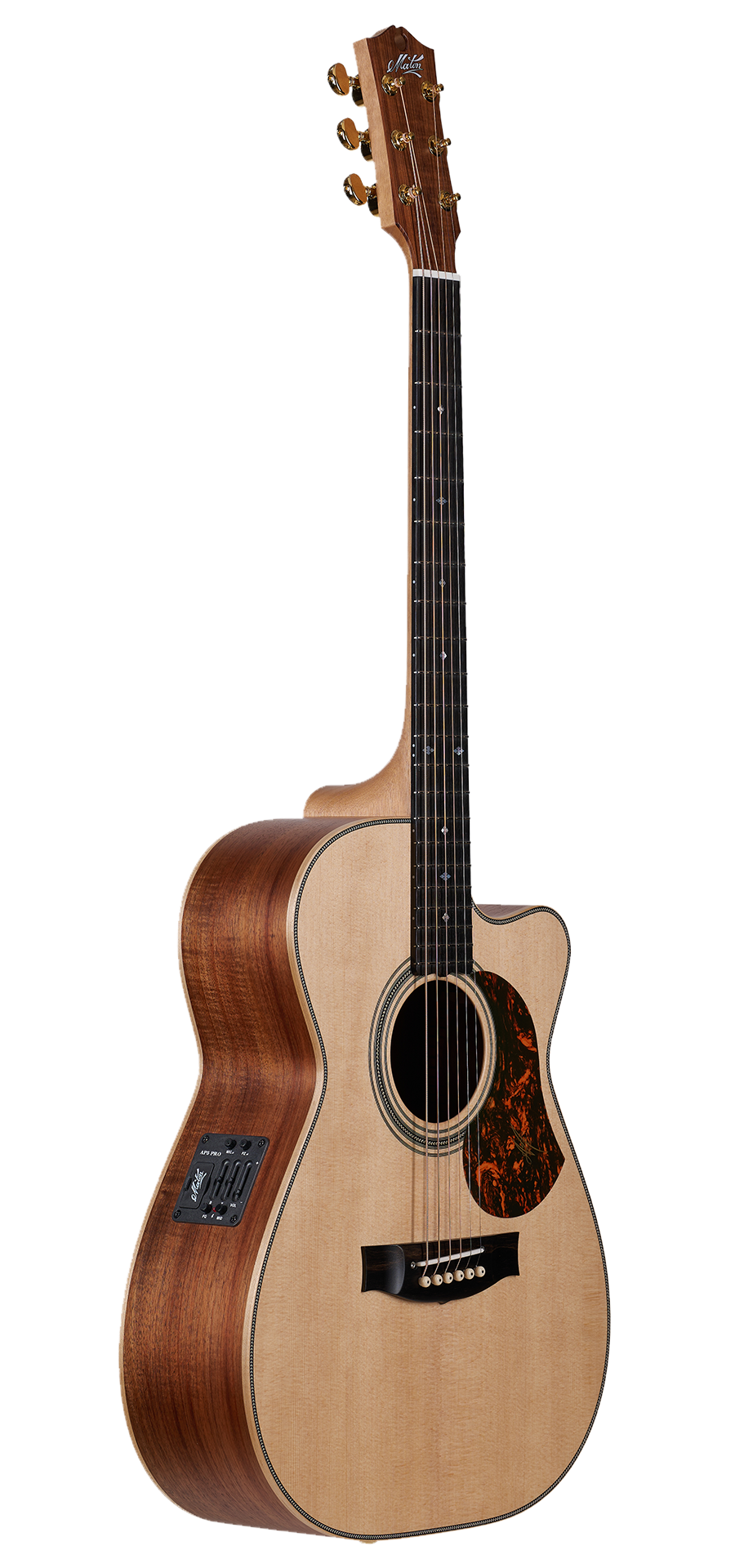 Maton Artist Series EBG808C-ARTIST - Spruce Top, Blackwood Back & Sides - AP5 Pro Pickup - 808 with Cutaway-Buzz Music