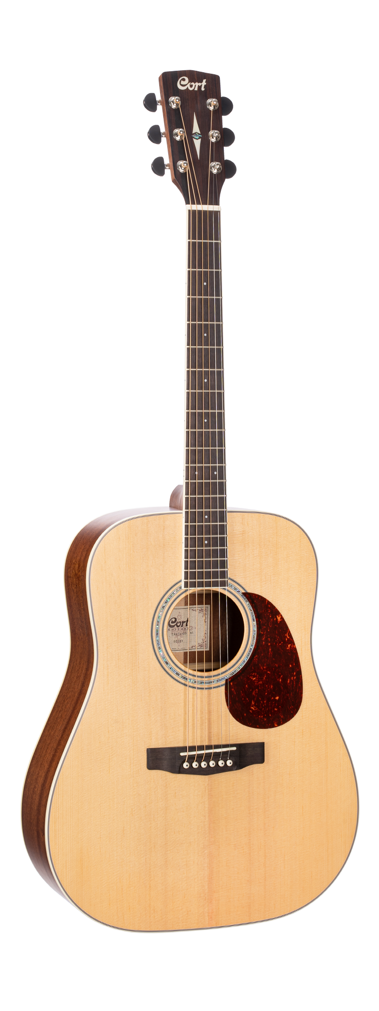 Cort earth 100 price hotsell