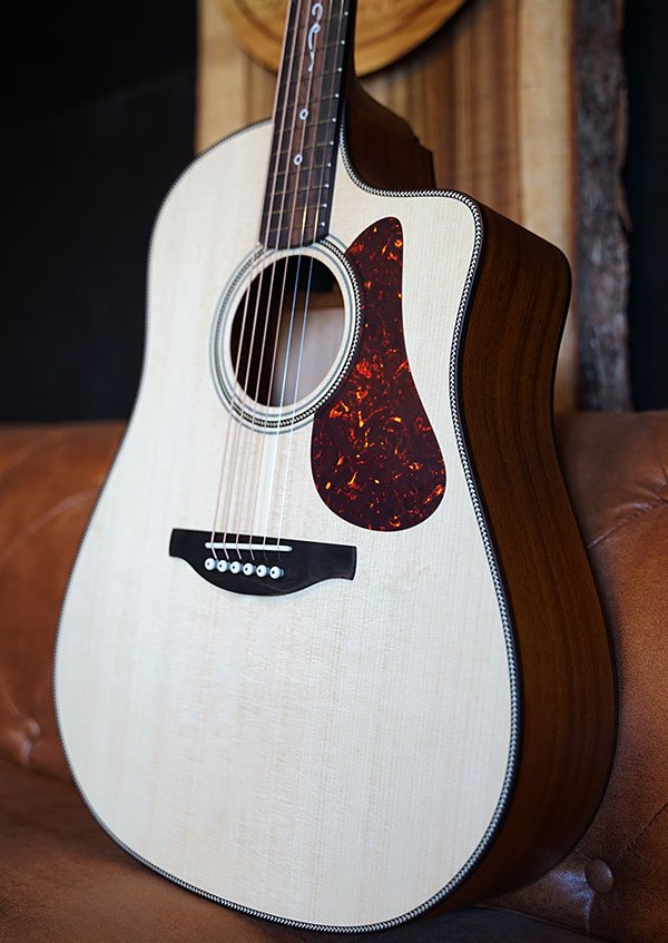 Fenech True Tone D78c - All Solid Spruce Top, Mahogany Back & Sides with Pickup & TKL Flight Case-Buzz Music