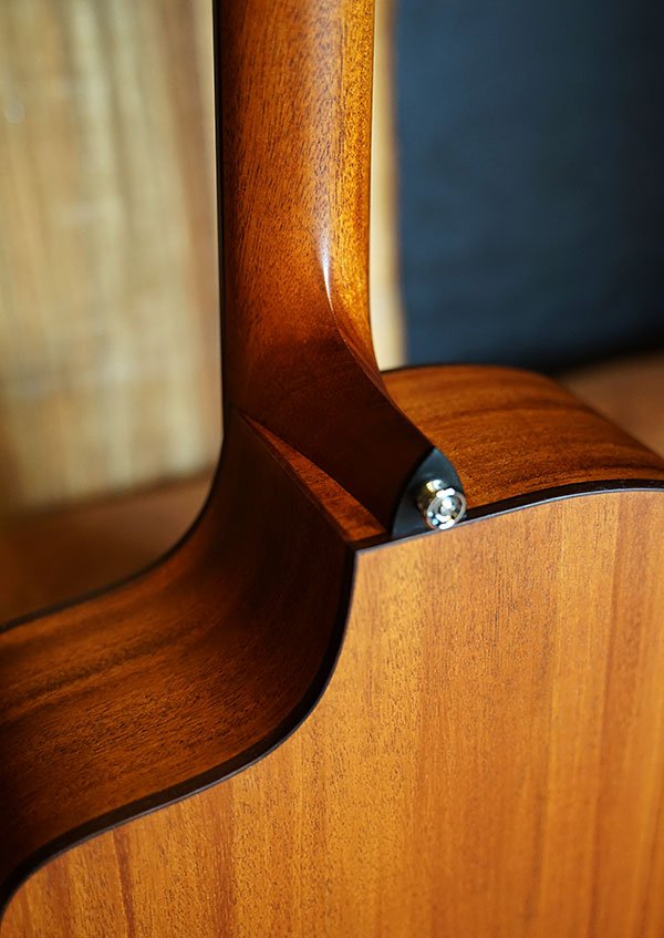 Fenech True Tone D78c - All Solid Spruce Top, Mahogany Back & Sides with Pickup & TKL Flight Case-Buzz Music