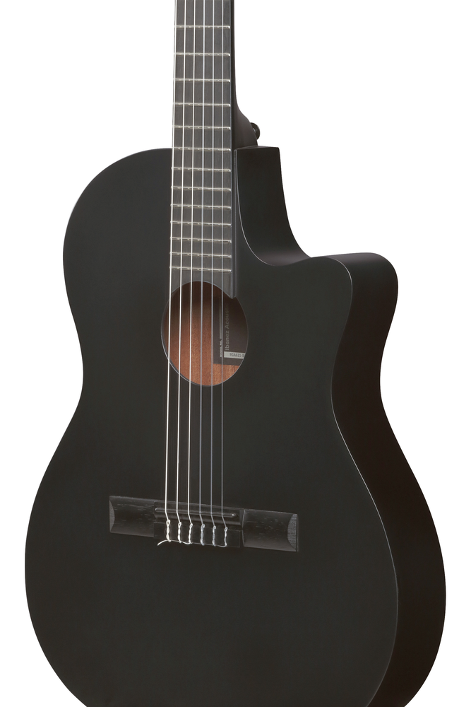Ibanez GA621 Black Out Acoustic Guitar-Buzz Music