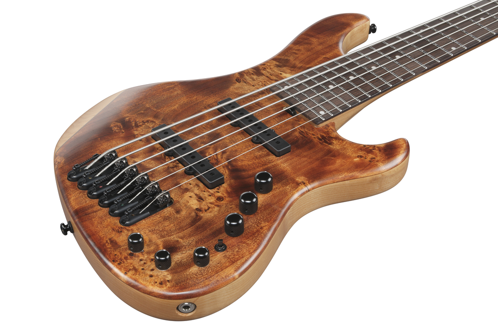 Ibanez MDM1606 Natural Mocha Low Gloss Electric Bass-Buzz Music