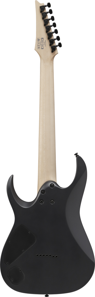 Ibanez RGA742EX Black Aurora Burst Matte Electric Guitar-Buzz Music