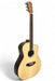 Cole Clark Studio Series AN1EC - Spruce Top, Rosewood Back and Sides-Buzz Music
