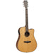 Tanglewood 20th Anniversary Re-Issue 2025 Limited Edition Dreadnought Cutaway Electric-Buzz Music