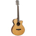 Tanglewood 20th Anniversary Re-Issue 2025 Limited Edition Super Folk Cutaway Electric-Buzz Music