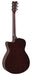 YAMAHA TAS1 C TRANSACOUSTIC GUITAR - NATURAL GLOSS-Buzz Music