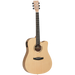 Tanglewood TDBTDCEHR Discovery Exotic Dreadnought Cutaway Electric Hawaiian Rainwood-Buzz Music