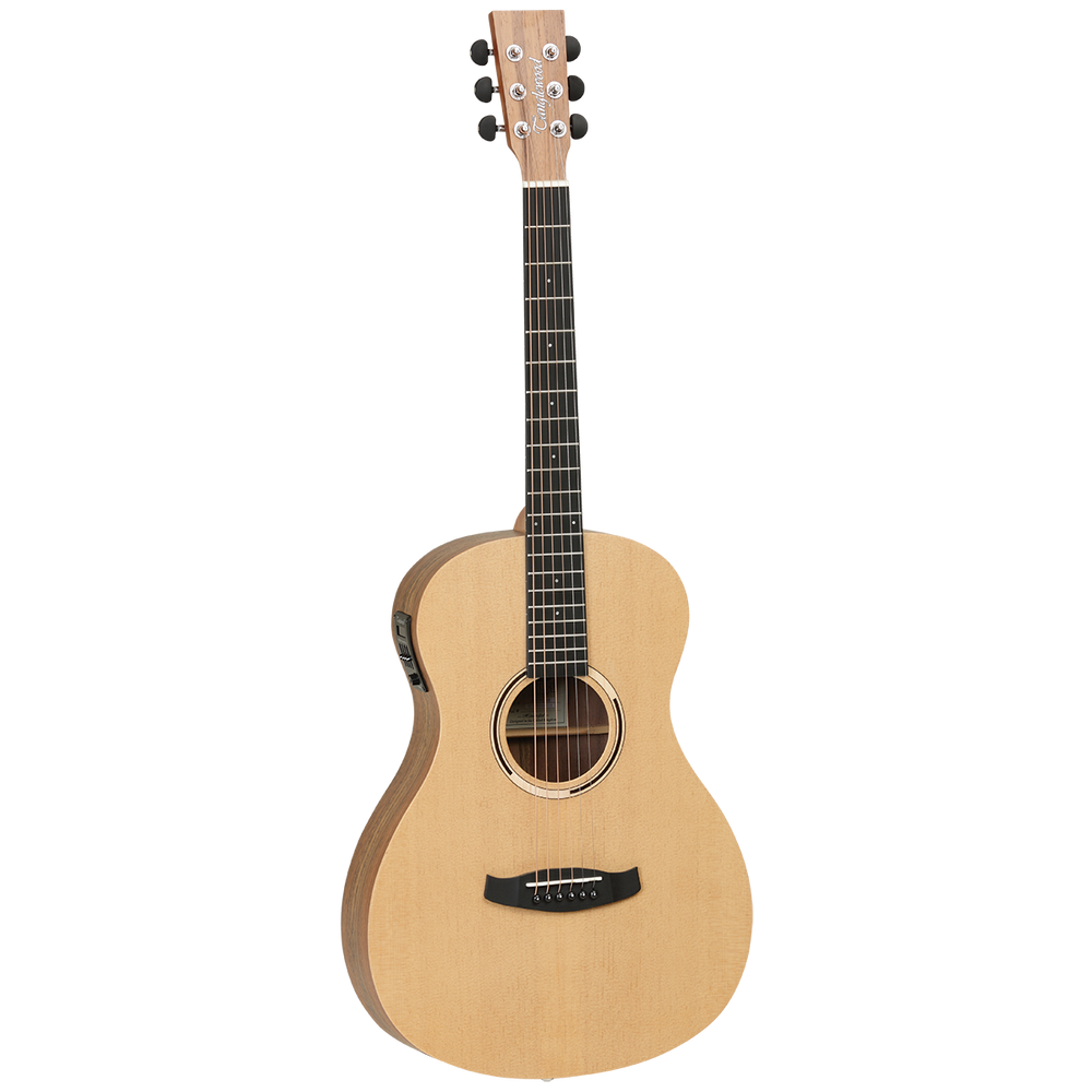 Tanglewood TDBTPEHR Discovery Exotic Parlour A/E Hawaiian Rainwood-Buzz Music