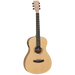 Tanglewood TDBTPEHR Discovery Exotic Parlour A/E Hawaiian Rainwood-Buzz Music