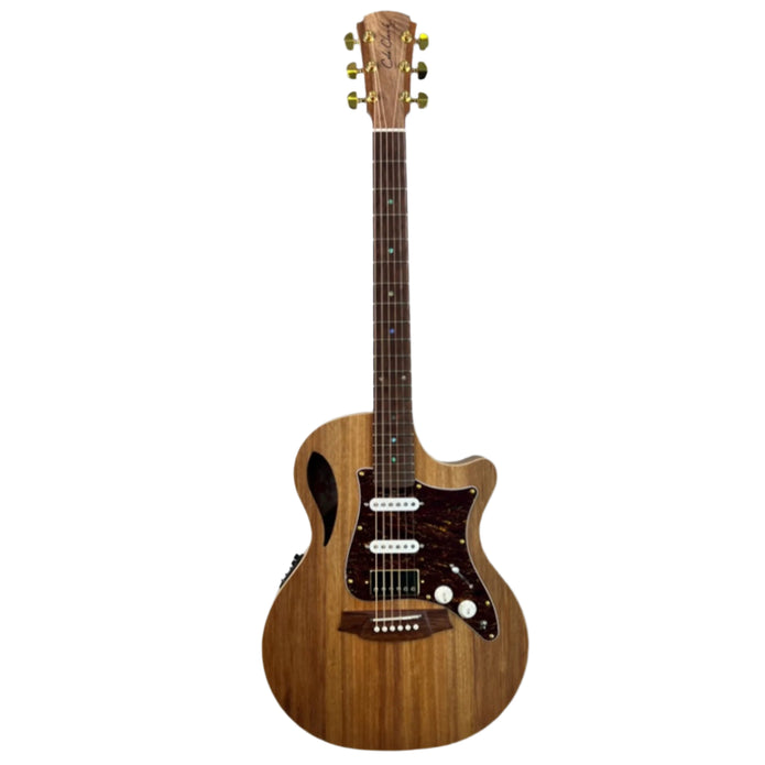 Cole Clark TRUE HYBRID Thinline, All Blackwood, cutaway, Cole Clark Balanced Hum Sing Sing Blk Chrome-Buzz Music