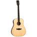 Tanglewood Premier Sloped Shoulder Dreadnought Cutaway Electric with Case-Buzz Music