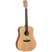 Tanglewood TWR2DE Roadster II Dreadnought With Pickup-Buzz Music
