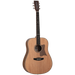 Tanglewood TRU5-HR / TRPRO-D-HR Reunion Pro Solid Australian Red Cedar Top Dreadnought with Hawaiian Rain Wood B/S-Buzz Music