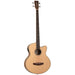 Tanglewood Reunion Pro Solid Australian Red Cedar Top Super Jumbo Acoustic Bass with Black Walnut B/S-Buzz Music