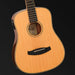 Tanglewood Roadster X Traveller AcoustiCutaway Electriclectric Guitar-Buzz Music