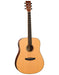 Tanglewood Roadster X Dreadnought AcoustiCutaway Electriclectric Guitar-Buzz Music