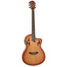 Tanglewood Union Series Hybrid Guitar-Buzz Music
