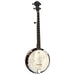 Tanglewood Union Banjo 5 String-Buzz Music