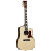 Tanglewood TW1000HSRCE Heritage Dreadnought Cutaway Electric with ABS Case-Buzz Music