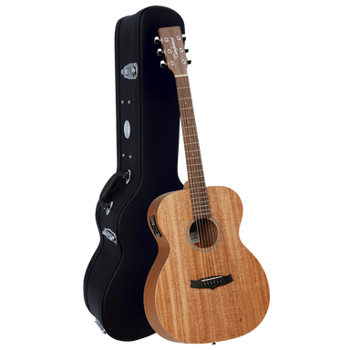 Tanglewood TW2E Winterleaf Orchestra with Case-Buzz Music