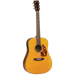 Tanglewood 40DANE Sundance Historic Dreadnought with Case-Buzz Music