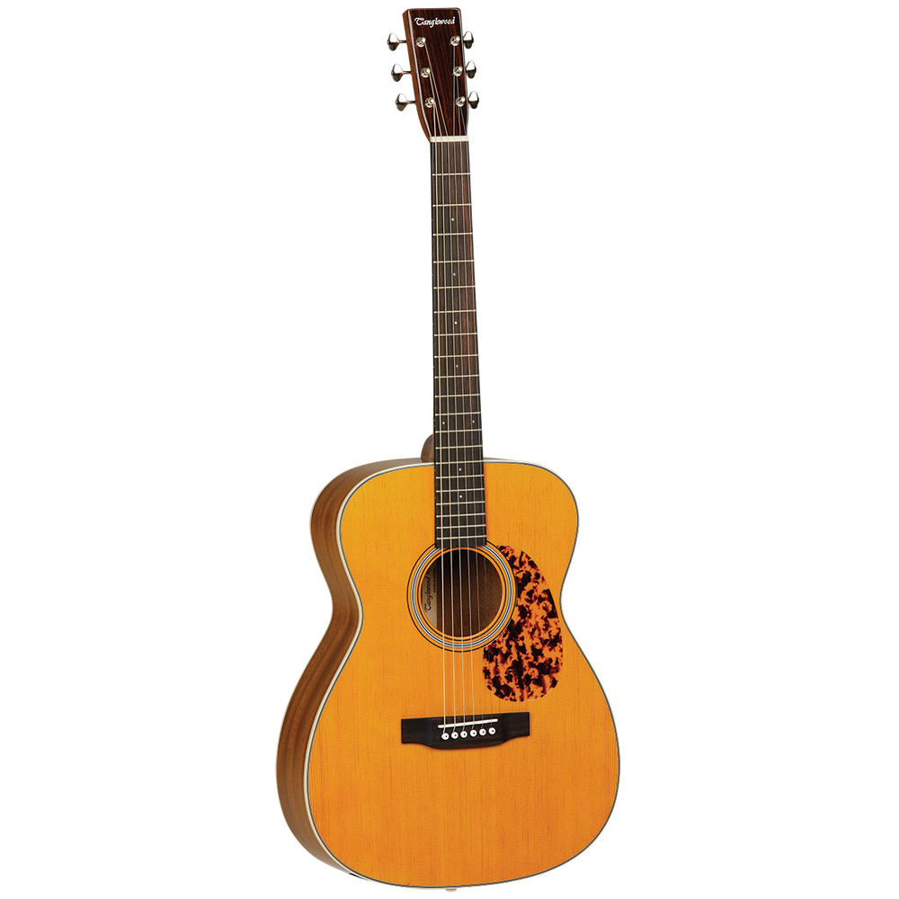 Tanglewood 40OANE Sundance Historic Orchestra with Case-Buzz Music