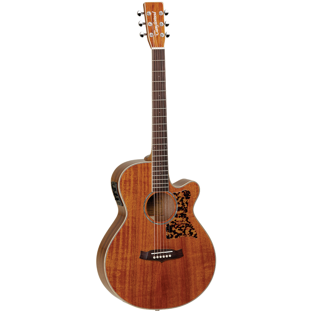 Tanglewood 47ASE Sundance Performance Pro Super Folk with ABS Case-Buzz Music