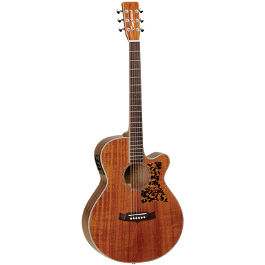Tanglewood 47ASE Sundance Performance Pro Super Folk with ABS Case-Buzz Music