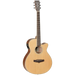 Tanglewood TW9 Winterleaf Folk Cutaway Electric Acoustic Guitar-Buzz Music