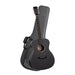 Tanglewood Blackbird Orchestra A/E Guitar Pack with DCM Premium Case-Buzz Music