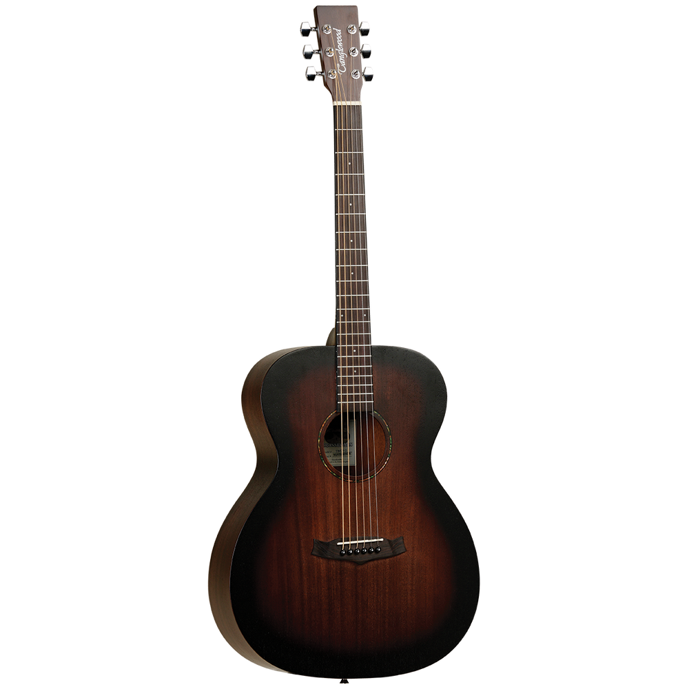 Tanglewood TWCRO Crossroads Orchestra-Buzz Music